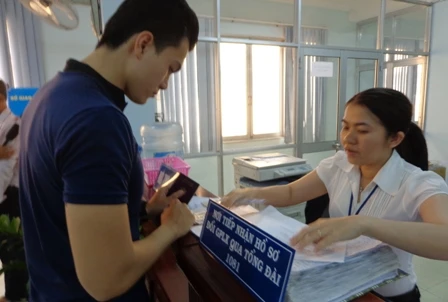 TP.HCM: Ngày 25-2, chính thức cấp giấy phép lái xe quốc tế ảnh 1