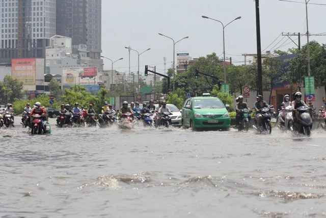 Cần hơn ngàn tỉ mua xe chống ngập ở TP.HCM ảnh 1
