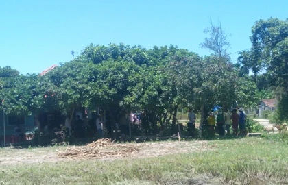 Một thanh niên treo cổ tự tử gần nhà ảnh 1