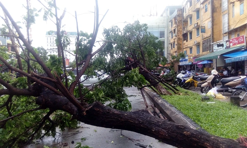 Một phụ nữ mất tích do ảnh hưởng áp thấp nhiệt đới ảnh 1