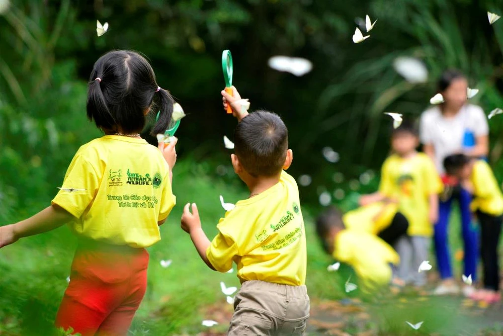 Vào rừng Cúc Phương ngắm bướm bay rợp trời ảnh 13