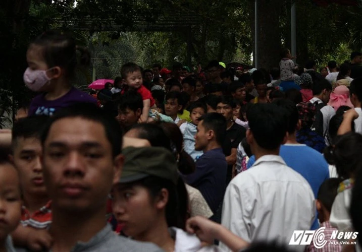 Những hình ảnh nghỉ lễ sẽ khiến nhiều người choáng váng ảnh 16