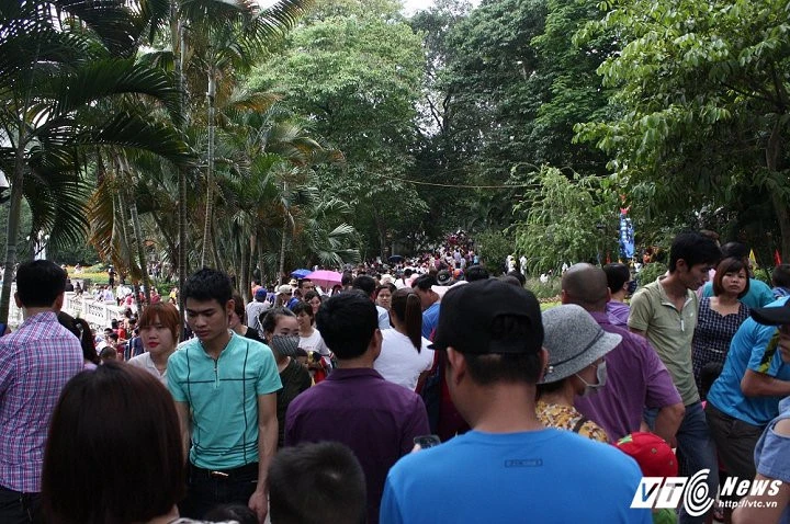 Những hình ảnh nghỉ lễ sẽ khiến nhiều người choáng váng ảnh 18