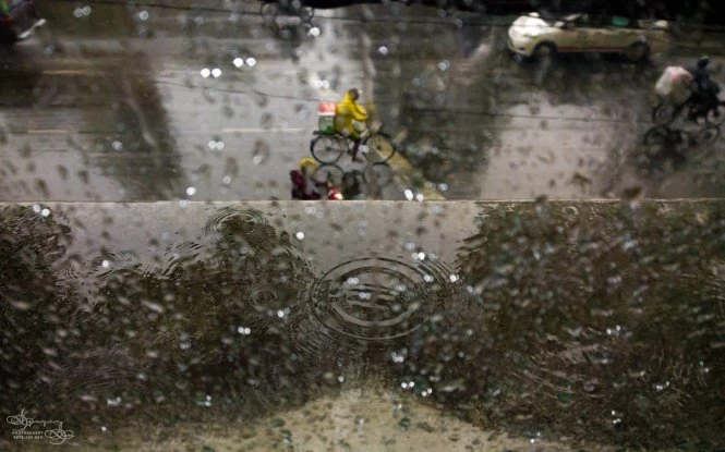 Mùa mưa xem ảnh 'Mưa' đoạt giải Street Photography ảnh 9