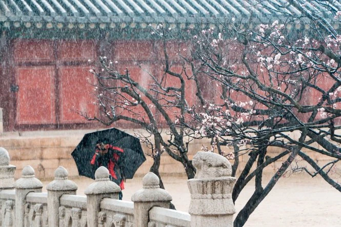 Mùa mưa xem ảnh 'Mưa' đoạt giải Street Photography ảnh 10