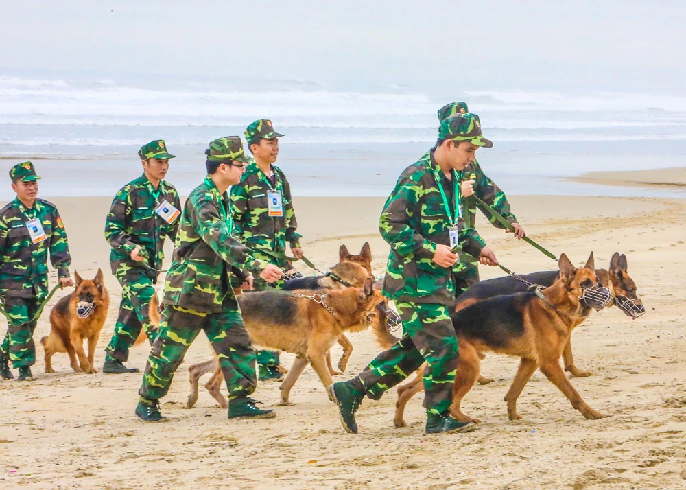 Chó nghiệp vụ tham gia bảo vệ APEC ở Đà Nẵng ảnh 2 Chó nghiệp vụ tham gia bảo vệ APEC ở Đà Nẵng ảnh 2