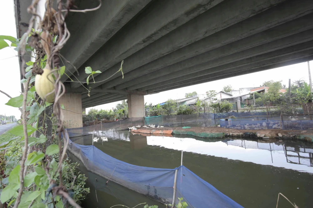 Người dân sinh sống tận dụng dưới gầm cầu vượt cao tốc để chăn nuôi gia cầm Người dân sinh sống tận dụng dưới gầm cầu vượt cao tốc để chăn nuôi gia cầm