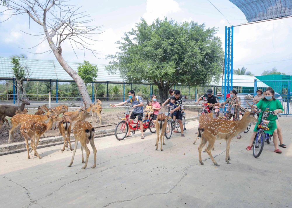 Vườn thú Mỹ Quỳnh thu hút nhiều em thiếu nhi đến xem các loại động vật.