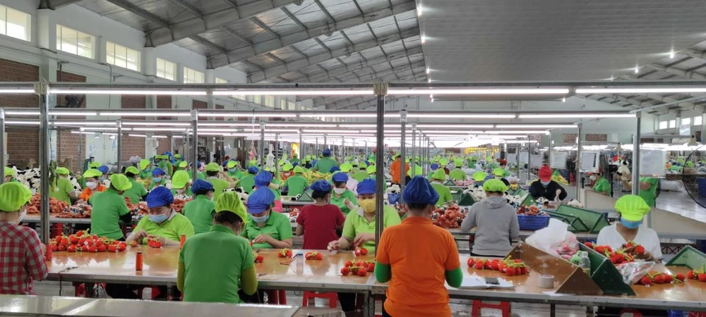 Long An đã xuất nhập khẩu hàng hóa cho trên 110 quốc gia và vùng lãnh thổ