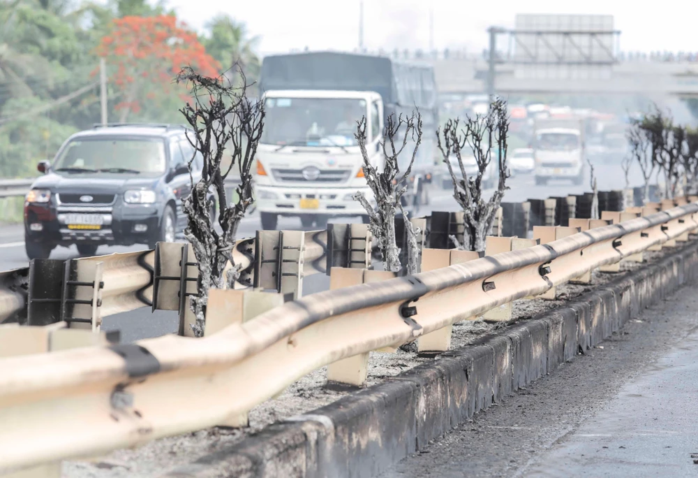 Mặt đường, cây xanh, hộ lan tôn sóng bị cháy gây thiệt hại khoảng 2 tỉ đồng. Ảnh: HD