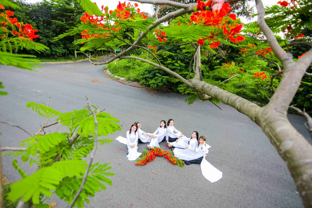 Nhiều người vẫn mong tìm về ký ức tuổi học trò. Ảnh: HD Nhiều người vẫn mong tìm về ký ức tuổi học trò. Ảnh: HD