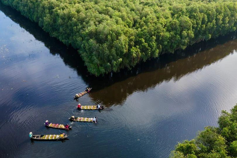 Du khách về với Long An sẽ chiêm ngưỡng cảnh đẹp bình dị mùa nước nổi. Du khách về với Long An sẽ chiêm ngưỡng cảnh đẹp bình dị mùa nước nổi.