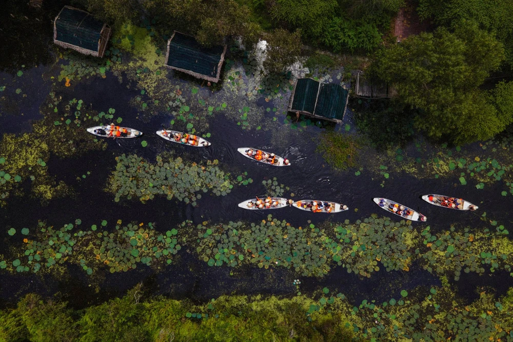 Nhiều du khách từ TP.HCM đến với Long An để ngắm hoa súng mùa nước nổi. Nhiều du khách từ TP.HCM đến với Long An để ngắm hoa súng mùa nước nổi.