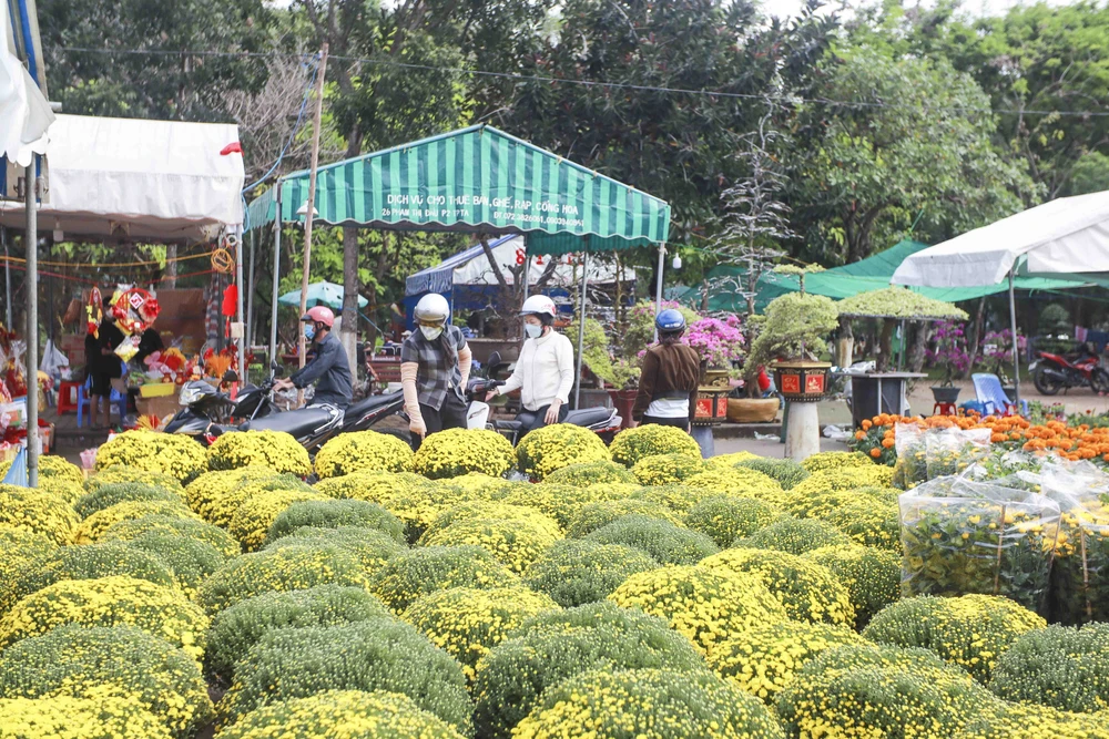 Người dân tham quan và chọn lựa hoa về chưng tết. Ảnh: HUỲNH DU