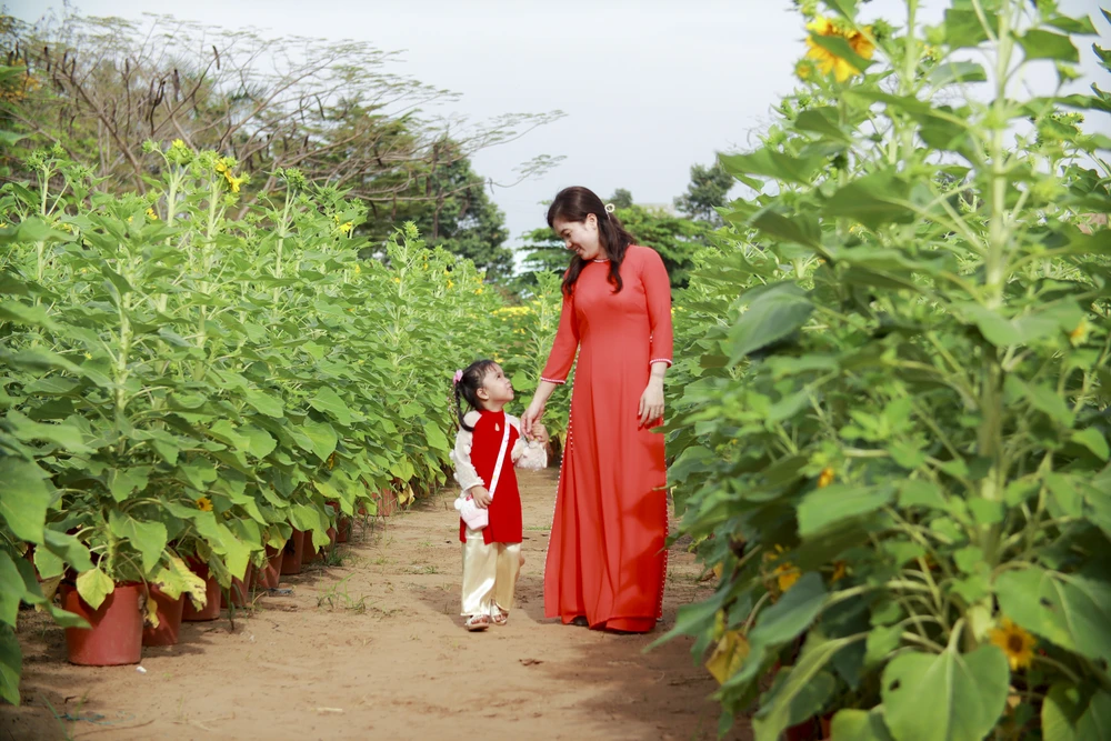 Các khu vườn hoa, chụp ảnh tết cũng thu hút rất đông du khách đến tham quan chụp ảnh. Ảnh: HUỲNH DU Các khu vườn hoa, chụp ảnh tết cũng thu hút rất đông du khách đến tham quan chụp ảnh. Ảnh: HUỲNH DU