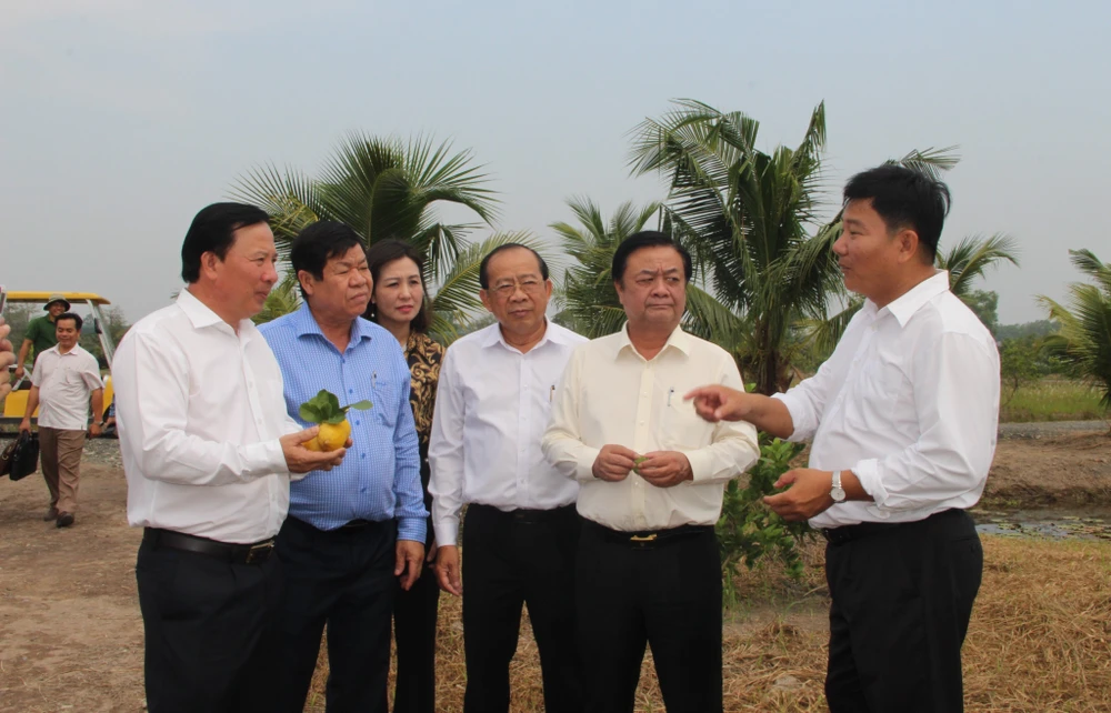 Đoàn công tác khảo sát tại Công ty Cổ phần Thương mại và Đầu tư Chanh Việt. Ảnh: CTV