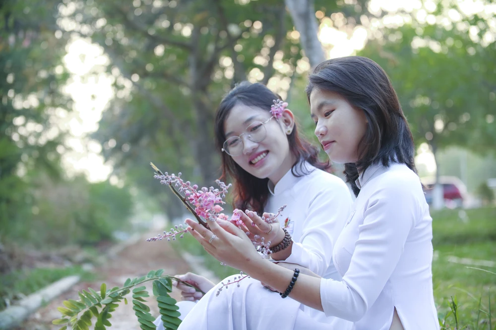 Các bạn trẻ cùng nhau tìm đến những con đường hoa ô môi để có ảnh đẹp khoe trên trang cá nhân của mình.