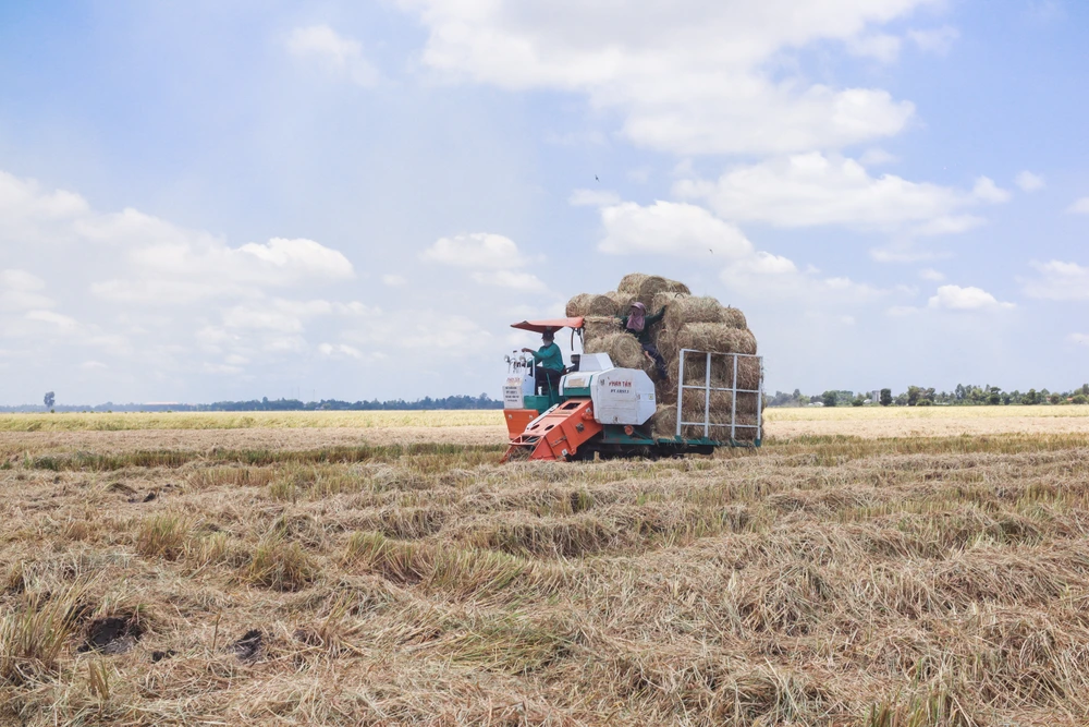 Nghề làm rơm không quá vất vả, lại mang đến nguồn thu nhập ổn định cho khá nhiều người gồm: Chủ ruộng, chủ máy cuốn rơm, thương lái, nhân công, chủ phương tiện vận chuyển rơm. Trung bình mỗi hecta, máy cuộn được từ 120 – 130 cuộn rơm; mỗi ngày, máy có thể cuộn được từ 300 – 400 cuộn rơm, sau khi trừ chi phí chủ máy thu nhập từ 1,3 – 1,5 triệu đồng/ngày.
