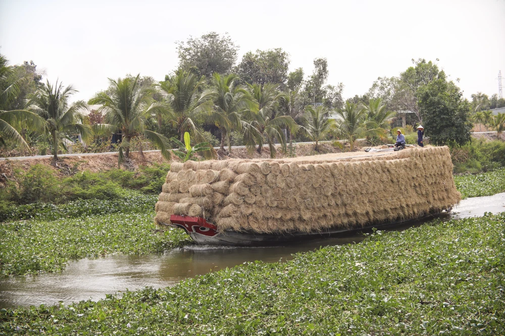 Đối với thương lái, mỗi chuyến có thể bán được đến cả ngàn cuộn rơm cho khách hàng để kiếm thêm thu nhập. Ông Nguyễn Minh Tiến (49 tuổi, huyện Ba Tri, Bến Tre) có thâm niên 5 năm làm nghề lái rơm cho biết: “ Một tháng tôi từ Bến Tre lên Long An thu mua chở về Ba Tri, một lần chở được 1.700 cuộn rơm, bình quân mỗi tháng đi khoảng 5 đến 6 chuyến, trung bình lợi nhuận một chuyến được 5 triệu, đi quanh năm, chỗ nào khu vực miền Tây có rơm là tôi đến mua".