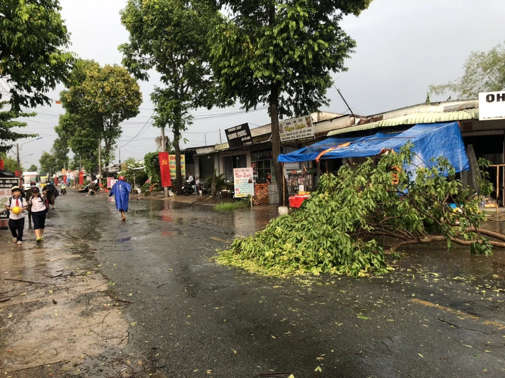 Từ đầu năm đến nay Tiền Giang đã xảy ra 6 cơn lốc xoáy. Ảnh: CTV