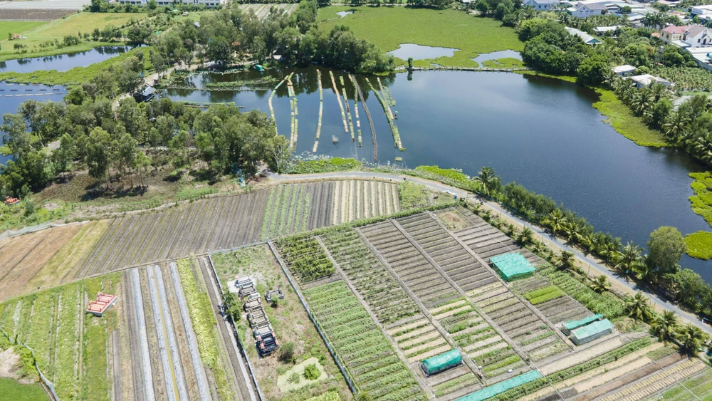 Trang trại rau của ông Đắc có diện tích rộng khoảng 5hecta, quan cảnh thiên nhiên rất đẹp.