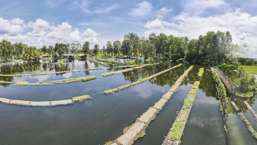 “Mô hình này hiện chỉ có mỗi mình tôi điều hành, vì vậy cần thời gian để chuẩn bị mọi thứ đảm bảo an toàn cũng như ổn định lao động” ông Đắc tâm sự.