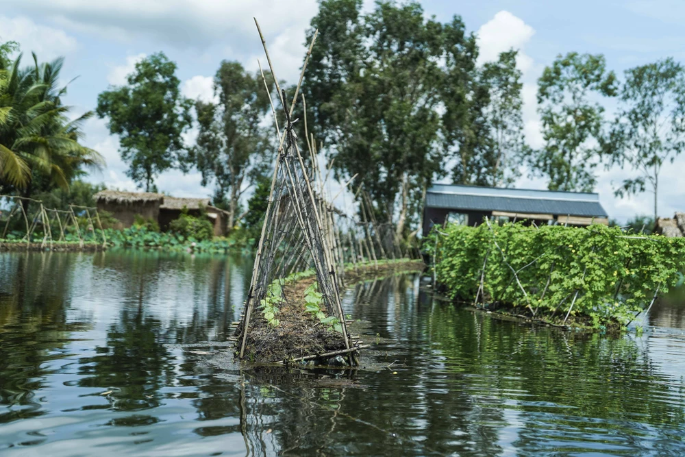 Những căn nhà nhỏ được ông Đắc xây dựng làm nơi tiếp đón du khách bên cạnh vườn rau thủy canh.