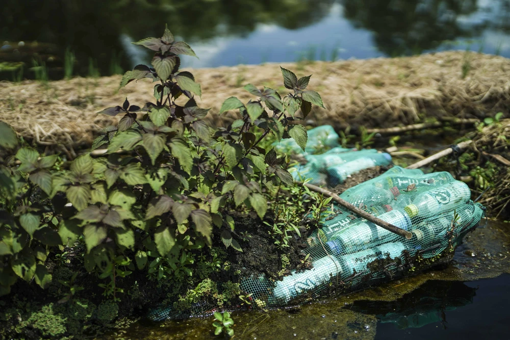 Vỏ chai nhựa bỏ đi được kết thành bè để trồng rau trên mặt nước.