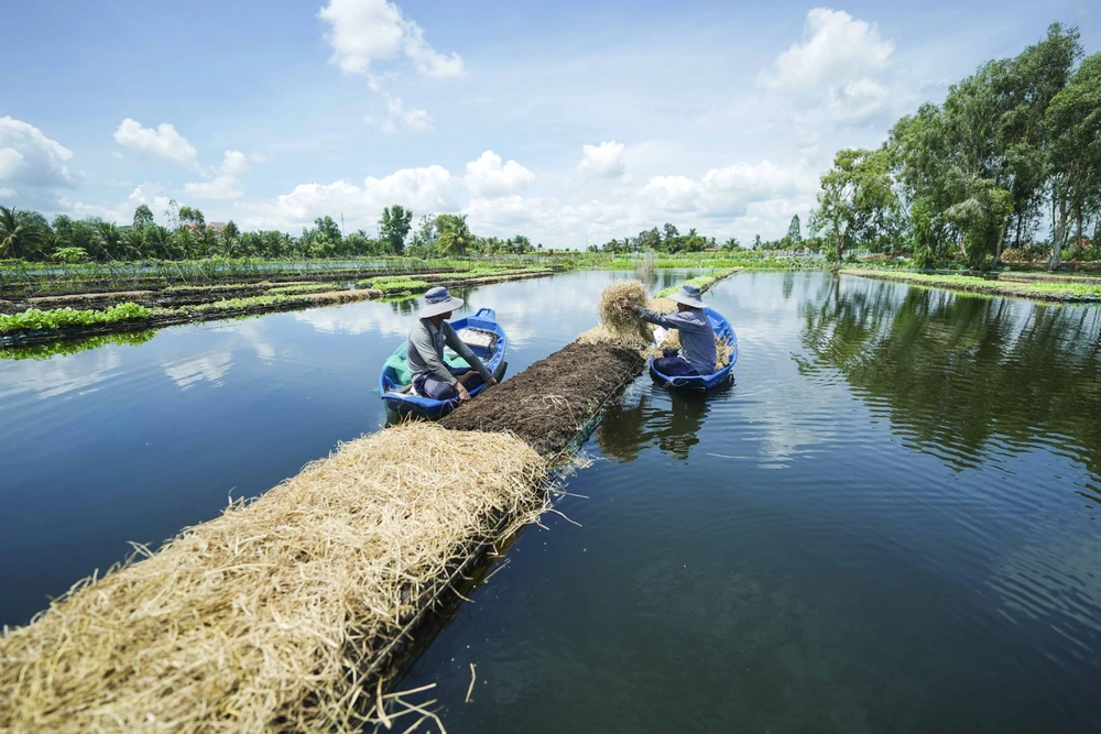 Nhân công vườn rau không mất công tưới và diệt trừ sâu bệnh, chỉ gia công các giá thể theo các quy chuẩn và chờ đến ngày thu hoạch. Việc chăm sóc cũng dễ hơn so với trồng trên bờ. Tại đây, anh tạo việc làm thường xuyên cho 10-12 lao động có thu nhập ổn định.