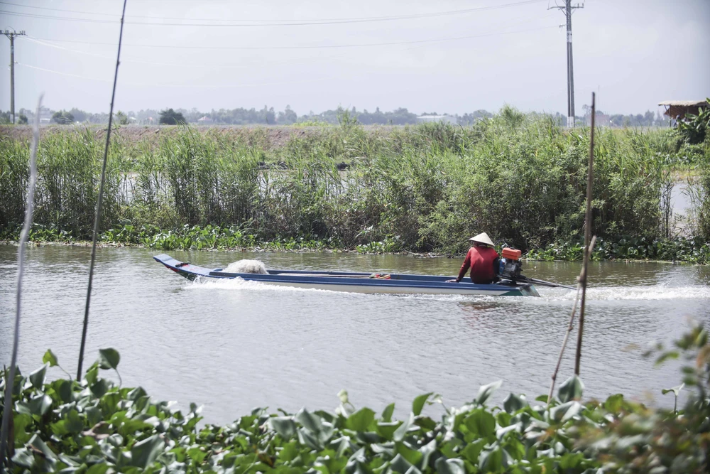 Người dân mong chờ nước lũ lớn nhưng vẫn chưa thấy về