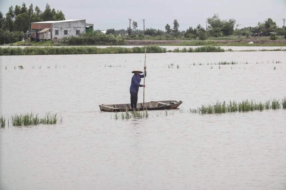 Những năm trước thời điểm này nước lũ đã tràn bờ ngập sâu.