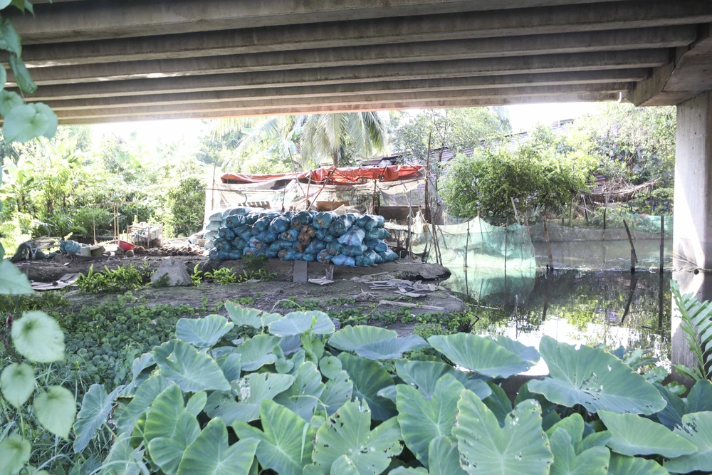 Hàng rào cao tốc bị cắt, phá làm nơi để vật dụng, phân,nơi chăn nuôi gia súc, gia cầm. Ảnh:HD Hàng rào cao tốc bị cắt, phá làm nơi để vật dụng, phân,nơi chăn nuôi gia súc, gia cầm. Ảnh:HD