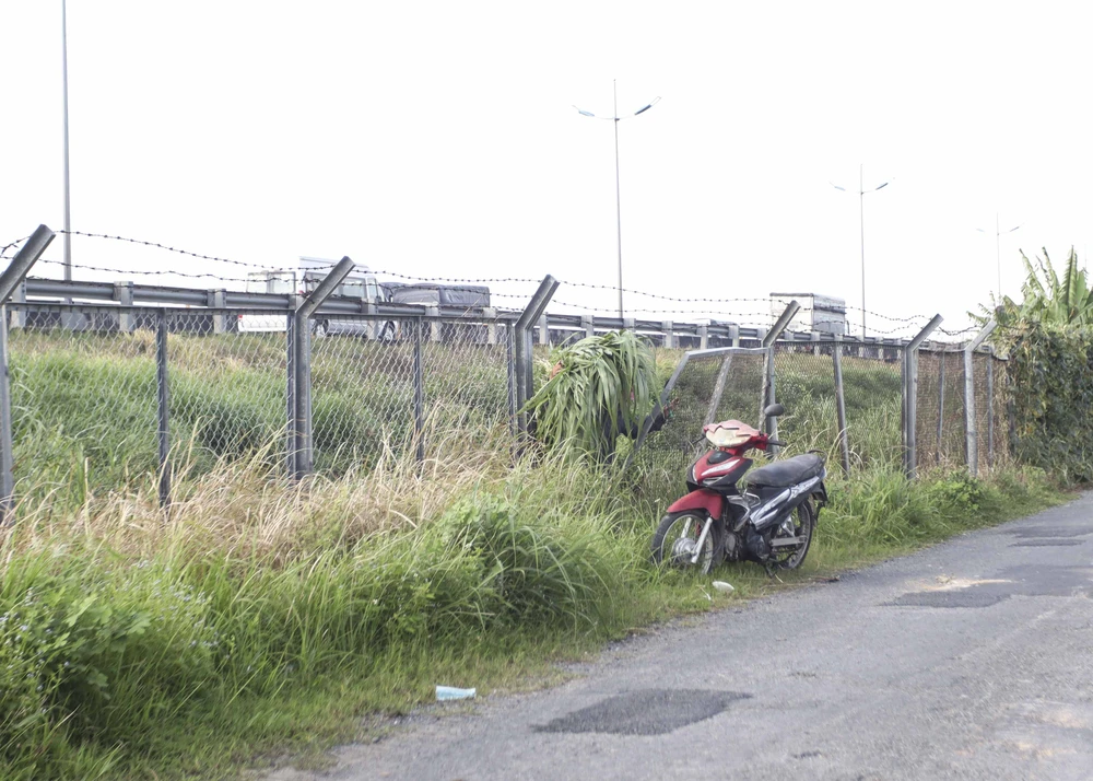 Người dân phá hàng rào để trồng cỏ, trồng trọt. Ảnh: HUỲNH DU Người dân phá hàng rào để trồng cỏ, trồng trọt. Ảnh: HUỲNH DU