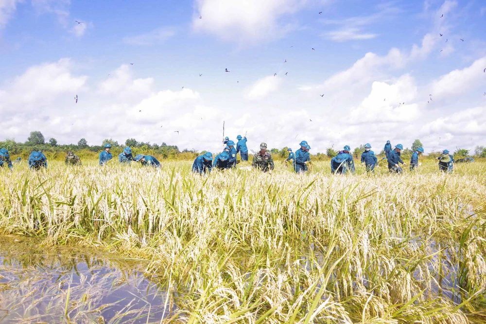 THU HOACH LUA (10).JPG