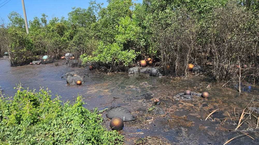 Con đường rác 2.jpg