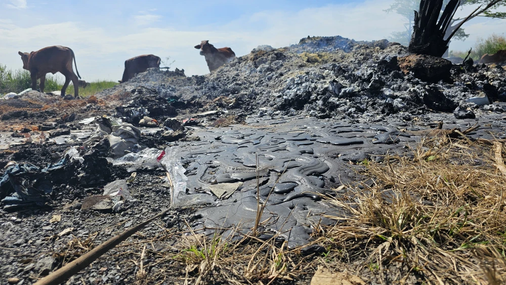 Con đường rác 8.jpg