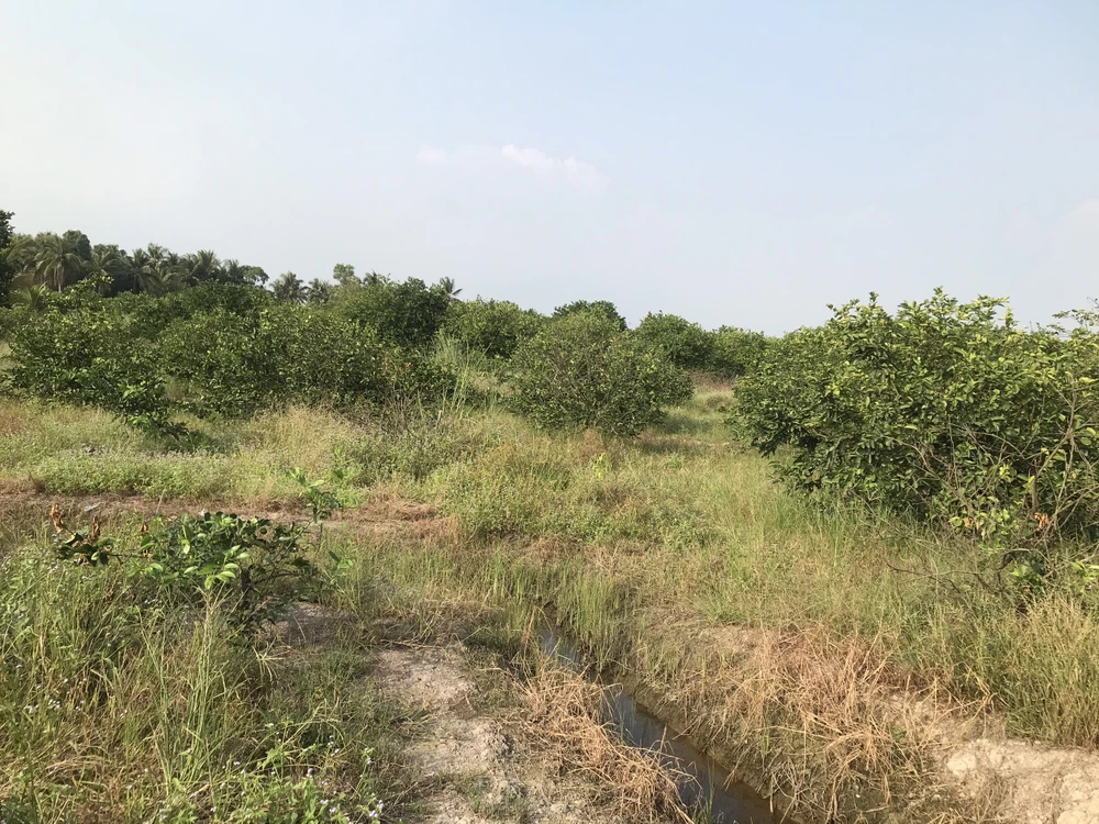 kẻ giết người