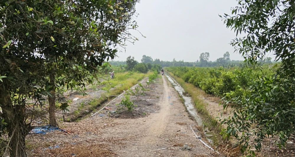 Kẻ giết người.jpg