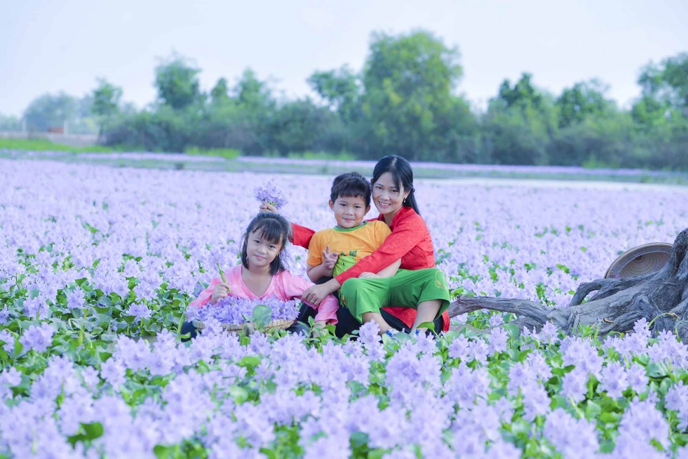 cánh đồng hoa lục bình.JPG