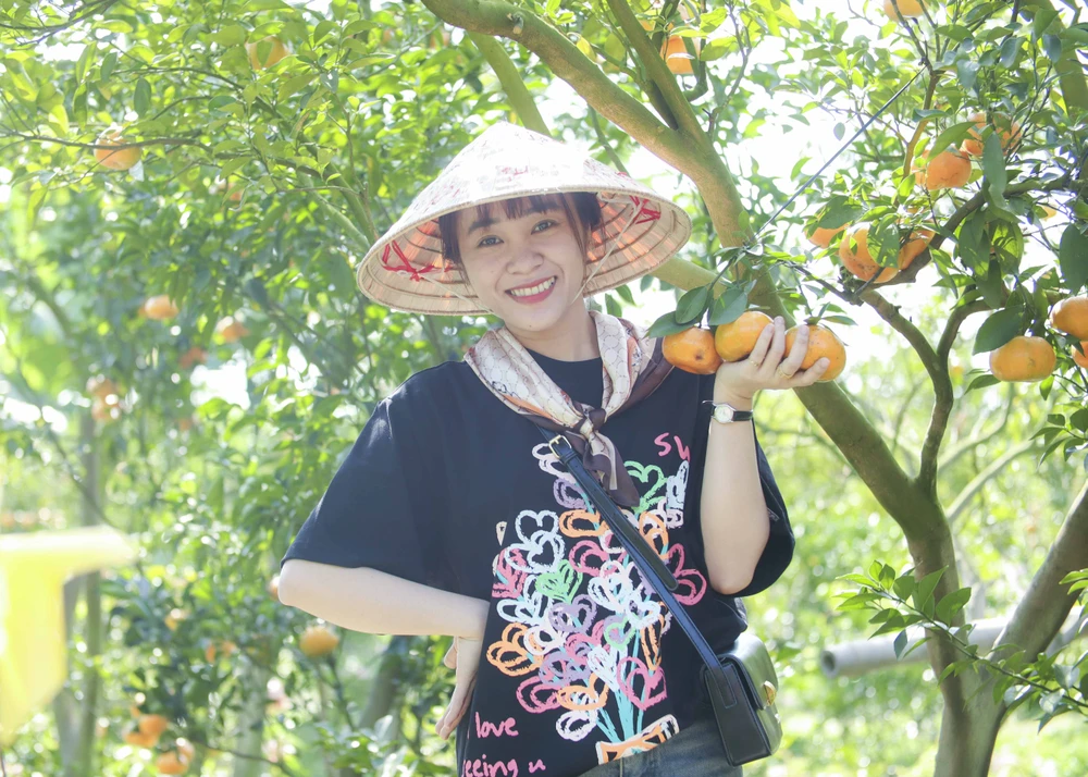 quýt hồng Lai Vung (7).JPG