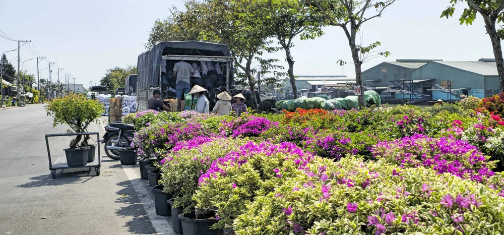 Làng hoa Sa Đéc (1).JPG