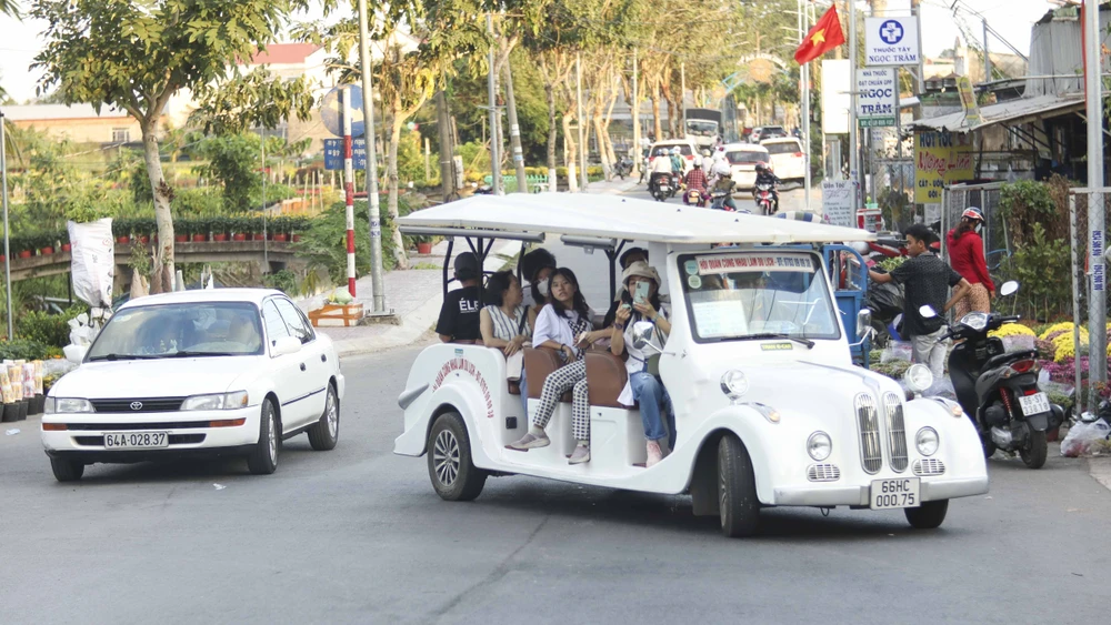 Làng hoa Sa Đéc (11).JPG