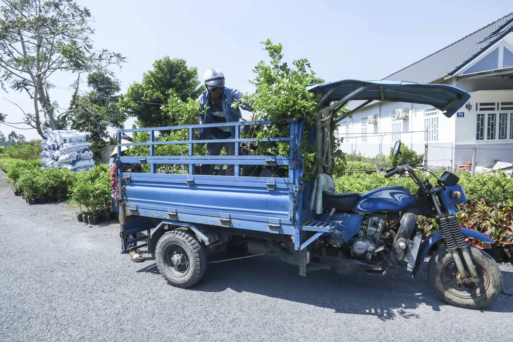 Làng hoa Sa Đéc (17).JPG