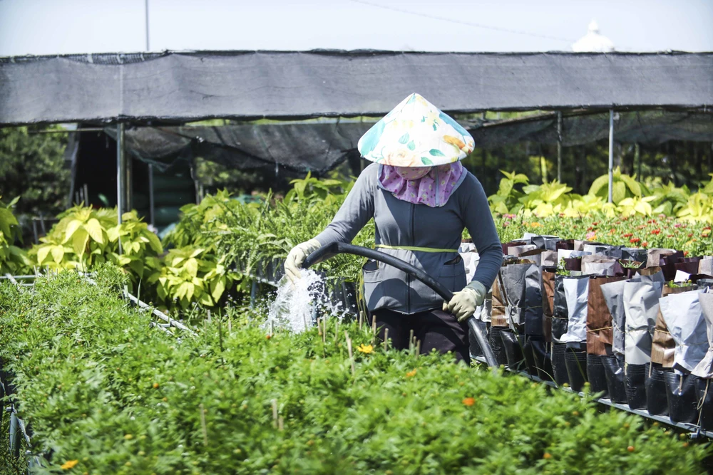 Làng hoa Sa Đéc (19).JPG