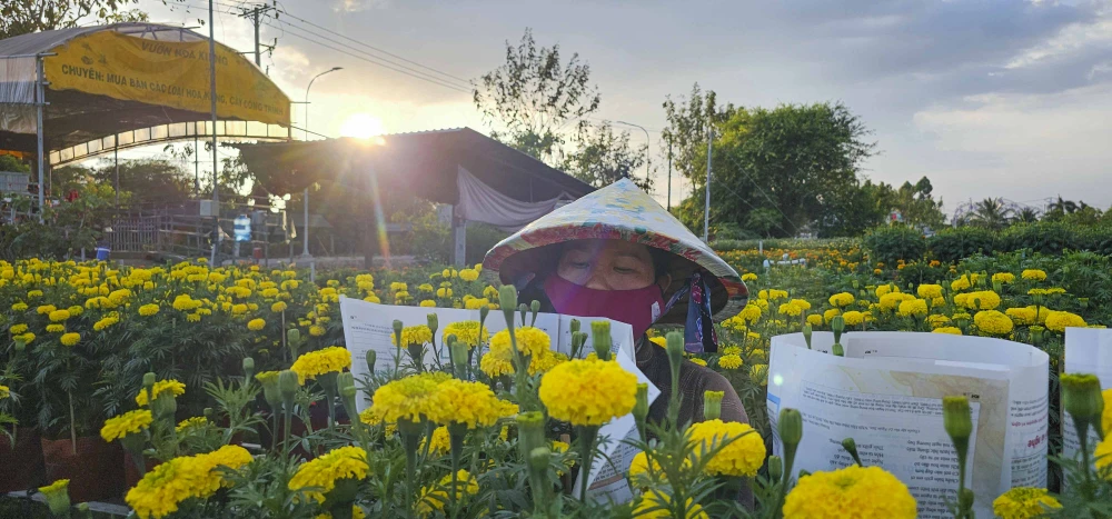 Làng hoa Sa Đéc (2).JPG