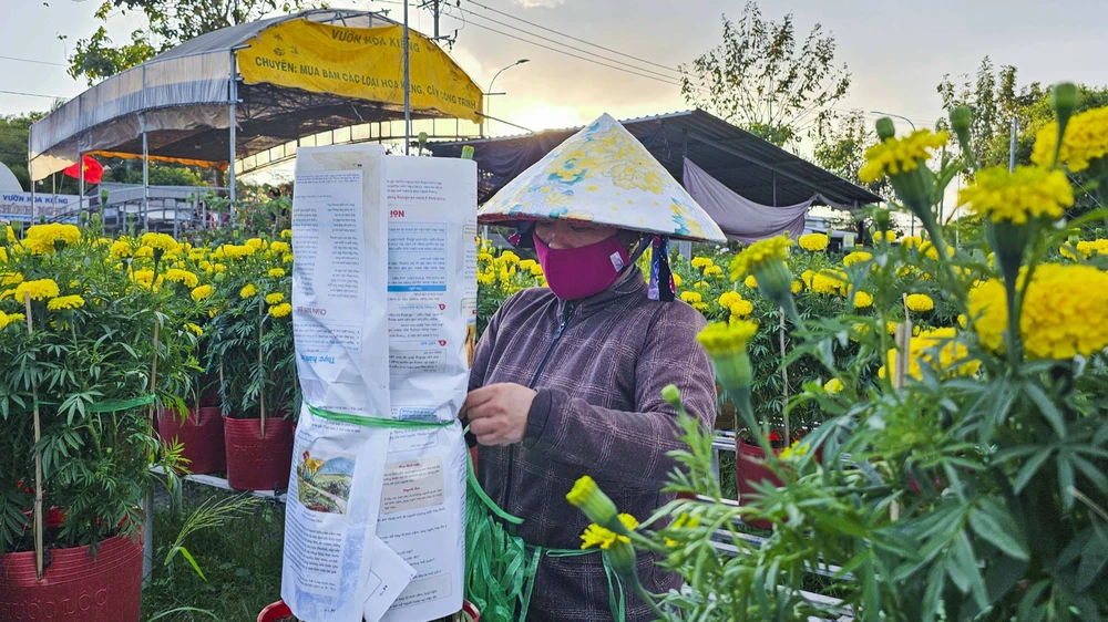 Làng hoa Sa Đéc (3).JPG