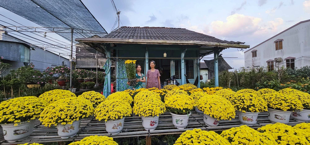 Làng hoa Sa Đéc (4).JPG