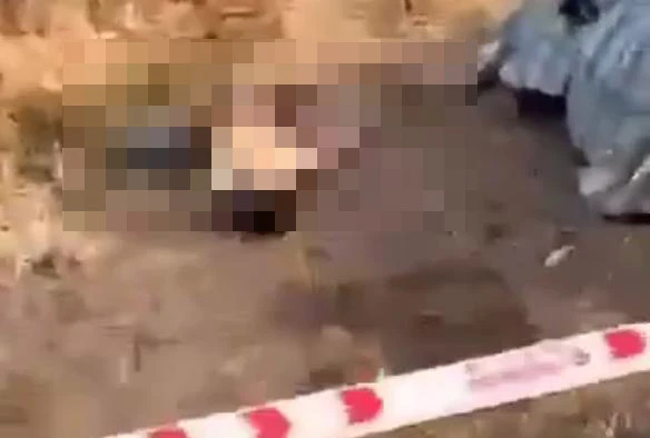 bạn nhậu (1).jpg