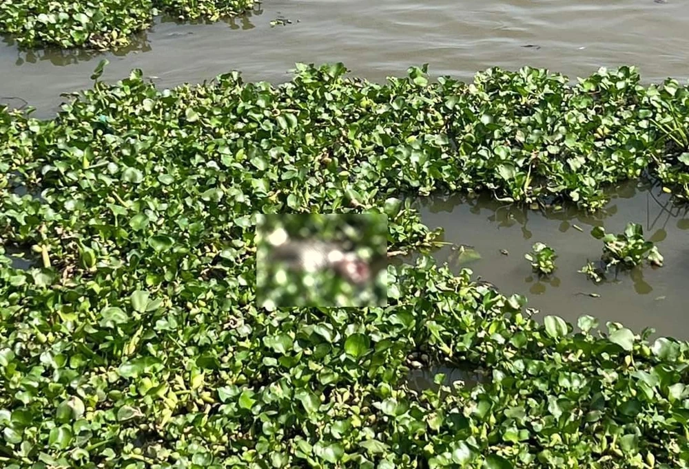 nam thanh niên 1.jpg