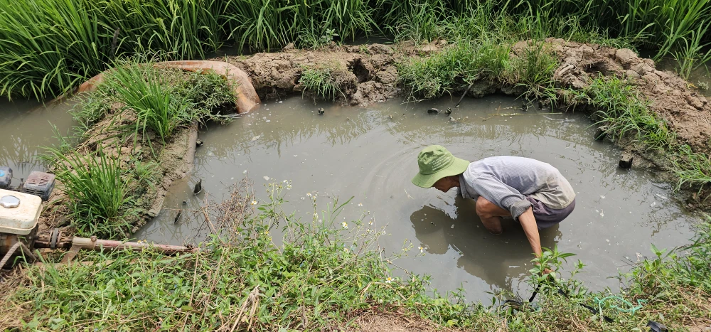 Cao tốc TP.HCM - Trung Lương (11).jpg